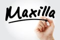 Hand writing Maxilla with marker