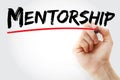 Hand writing Mentorship with marker, business concept background Royalty Free Stock Photo