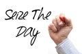 Hand Writing 'Seize the Day' Royalty Free Stock Photo