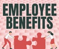 Hand writing sign Employee Benefits. Business approach form of compensation paid by employers to workers Colleagues
