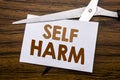 Hand writing text caption inspiration showing Self Harm. Business concept for Selfharm Mental Aggression Written on note, wooden b Royalty Free Stock Photo