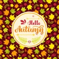 Hand written lettering Hello Autumn on seamless background with colorful autumn leaves. Vector illustration. EPS10 Royalty Free Stock Photo