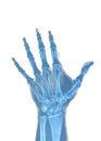 Hand xray Royalty Free Stock Photo