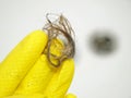 Hand in yellow gloves take away many hair loss on filter in washbasin in bathroom. Healthcare, medical concept. Clogged Sink Drain Royalty Free Stock Photo