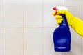 Hand in yellow rubber glove holding a blue cleaning spray bottle close up with copy space. Washing, cleaning and wiping concept Royalty Free Stock Photo