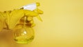 Hand in yellow rubber glove holding plastic spray bottle with cleaning detergent Royalty Free Stock Photo