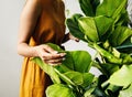 Hand of a young botanist holding a leaf