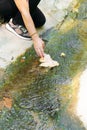 The hand of a young Caucasian woman dropping a leaf from a tree into a small water channel. Concept of environment and nature care