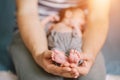 Father holding newborn baby little feet Royalty Free Stock Photo