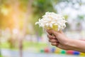 Hand of young holding a bouquet of jasmine with sun light.