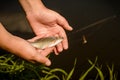 The hand of a young man releases the caught fish into the river, pond, lake