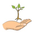 Hand with a young tree symbol