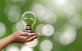 The hand of a young woman carrying an energy-saving light bulb with a small tree growing on money. Royalty Free Stock Photo