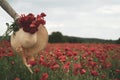 Hand of young woman holding a bouquet of poppies and a wicker hat in a beautiful field Royalty Free Stock Photo