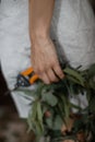 Hand of a young woman with a tatoo closeup. She is holding the secateurs and a plant at her hand Royalty Free Stock Photo