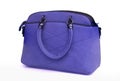 Handbag.With Clipping Path. Royalty Free Stock Photo