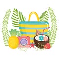 Handbag female with fruits and camera photographic