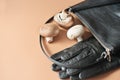 handbag and gloves made of mycelium leather, bio sustainable alternative to leather made of mushroom spores and plant