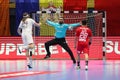 Handball goalkeeper, Saeid Heidarirad Royalty Free Stock Photo