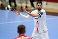 Handball player, Nikola Karabatic Royalty Free Stock Photo