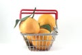 Handbasket with tangerines on white background Royalty Free Stock Photo