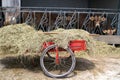 Handcart on a farm