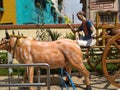 Handcraft and old style Cow pulling cart or chariot, decorated statue display openly at Dakhineswar, Kolkata. Royalty Free Stock Photo