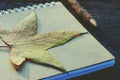 Handcraft wooden pencil, key, notebook and yellow leafs on wooden table in morning light with garden background