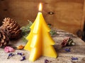 Handcrafted beeswax candle. Fir tree Hand-poured pure natural beeswax candle.