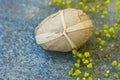 Handcrafted Decorative Easter Egg Wrapped in Craft Paper Small Yellow Spring Flowers on Grey Stone Background Vintage