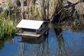 handcrafted floating wooden birdhouse for ducks wood duck shelter in lake water Royalty Free Stock Photo