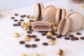 Handcrafted Macarons in Natural Tones Unadorned by Colorants Surrounded by Black and White Chocolate Pins, Artfully Revealing Cut