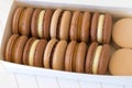 Handcrafted Macarons in Natural Tones, Unadorned by Colorants in two rows inside white paper box Royalty Free Stock Photo