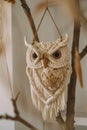 Handcrafted macrame owl hanging decoratively on a natural branch.