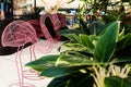 Handcrafted metal pink flamingo near the potted plants indoor of shopping mall