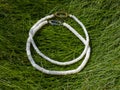 Handcrafted mother of pearl necklaces from polished pieces on green grass background