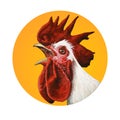 Handcrafted rooster portrait Royalty Free Stock Photo