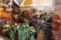 Handcrafted Violin on Wooden Shelf decorated with Butcher`s Broom Plant