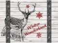 Handdrawing Winter Wonderland Christmas Reindeer