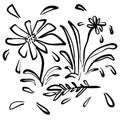 Handdrawn artistic wild plant flower illustration in doodle style