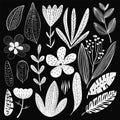 Handdrawn botanical elements pattern black white. Monochrome floral collection diverse leaves