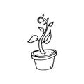 Handdrawn house plant in pot doodle icon. Hand drawn black sketch. Sign symbol. Decoration element. White background. Isolated. F Royalty Free Stock Photo