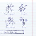 Handdrawn Illustration - Health and Nature Set