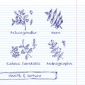 Handdrawn Illustration - Health and Nature Set