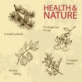 Handdrawn Illustration - Health and Nature Set