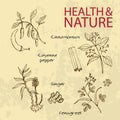 Handdrawn Illustration - Health and Nature Set