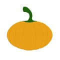 Handdrawn illustration of an orange pumpkin