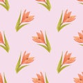 Handdrawn lily seamless pattern. Watercolor orange lily on the pink background. Scrapbook design elements. Typography poster, Royalty Free Stock Photo