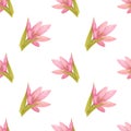 Handdrawn lily seamless pattern. Watercolor pink lily with green leaves on the white background. Scrapbook design elements. Royalty Free Stock Photo