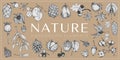 Handdrawn nature elements, Botanical drawings Royalty Free Stock Photo